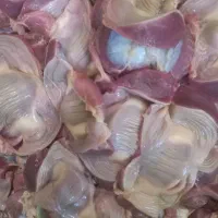فروش سنگدان مرع گوشتی|خوردنی و آشامیدنی|اصفهان, شهرستان|دیوار