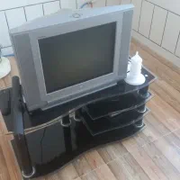 تلوزیون وزیر تلوزیونی