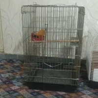 قفس  پرنده