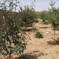 باغ ۵۰۰متری مرند روستای ارلان|فروش خانه و ویلا|کشکسرای, |دیوار