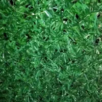 فنس سبزه مصنوعی درحد نو