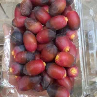 رطب خنیزی درجه یک