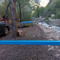 کار در رستوران