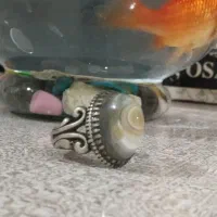 باعرض سلام اوسیله نگشتر بفروش میرسه