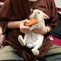 خرگوش فندق