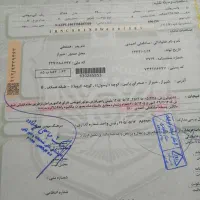فروش|خودرو سواری و وانت|زرقان, |دیوار