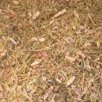 فروش کاه لوبیا چیتی نرم و کاه عدس خرمنکوب شده|لوازم جانبی حیوانات|قزوین, |دیوار