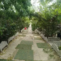 کارکر ساده برا باغ رستوران نظام آباد