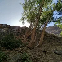 زمین حاشیه مشاهیر