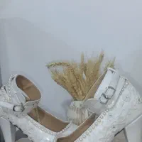 تعدادی کفش مجلسی شیک|کیف، کفش، کمربند|تربت جام, جامی|دیوار