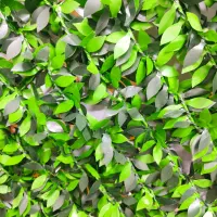 فنس چمنی و برگی و چمن مصنوعی|مصالح و تجهیزات ساختمان|تهران, خزانه|دیوار