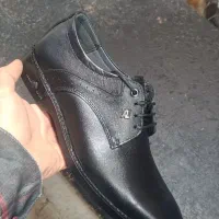 نیازمنده پستهای سازماهرویاشاگردجهت کاردرتولیدی کفش