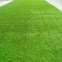 چمن مخصوص نمایشگاه باشگاه آرایشگاه