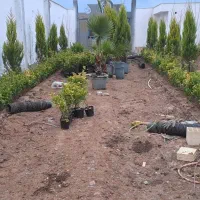 خدمات باغبانی و گلکاری . نهالکاری  زیبا سازی باغچه