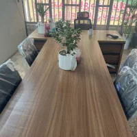 منشی مدیر عامل