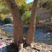 زمین گلستان