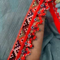 کریشی حرفه ایی
