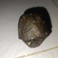 شهاب سنگ|کلکسیون و سرگرمی|بندرعباس, |دیوار