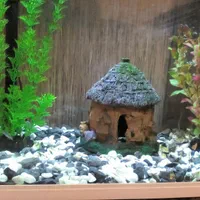 خرگوش و ماهی و کبوتر|موش و خرگوش|شهرکرد, |دیوار