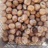 گردو درجه یک|خوردنی و آشامیدنی|نهاوند, |دیوار