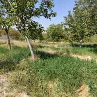 فروش باغ ویلایی در باغ شهر اسکو|فروش زمین و ملک کلنگی|اسکو, |دیوار