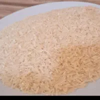 برنج طارم امسال|خوردنی و آشامیدنی|دهدشت, |دیوار
