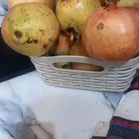 انار شیرین درجه صدرصد شیرین