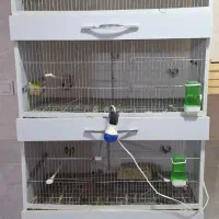 قفس چهار طبقه