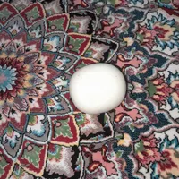 سنگ آسیاب اصل