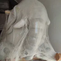 صندلی ماشین و راک کودک|کالسکه و لوازم جانبی|مشهد, کوشش|دیوار