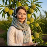 فروش نهال فندق پرتقال زرشک گردو بادام انگورگلدانی