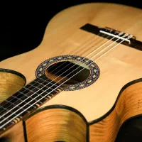 گیتار کلاسیک کنسرتی|گیتار، بیس، امپلیفایر|تهران, شیخ هادی|دیوار