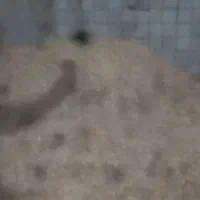 کاه سفید و‌ کاه نخود|حیوانات مزرعه|نجف‌آباد, قلعه سفید|دیوار