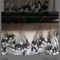 نور پردازی مجالس