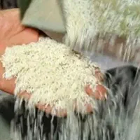 برنج هایلی ۱۱۲۱و برنج ایرانی طارم هاشمی|خوردنی و آشامیدنی|کوهدشت, |دیوار