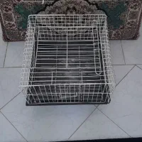 قفس خرگوش