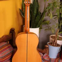 اموزش خوشنویسی و گیتار