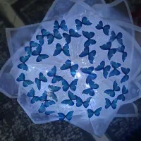 هدیه ولنتاین دسته گل پروانه و ربانی وجاودان