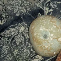 سنگ اسیاب ابی|کلکسیون اشیاء عتیقه|نظرآباد, رسالت|دیوار