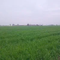 زمین-کشاورزی