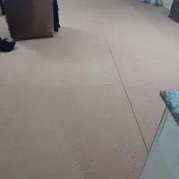 موکت درحدنو