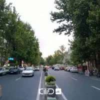 دربستی دوطبقه/ زیربنا 500متر/ برخیابان ولیعصر