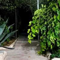 اجاره باغ و ویلا|اجارهٔ کوتاهمدت ویلا و باغ|ابریشم, |دیوار