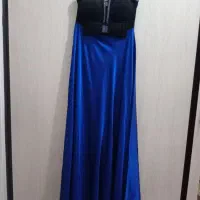 پالتو مجلسی