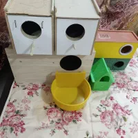 تمامی لوازم پرندگان