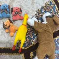 لباس و وسایل کودک|اسباب و اثاث بچه|علی‌آباد کتول, |دیوار