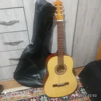 گیتار درحد