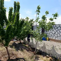 سوئیت ویلا ۵۶۲متر سند ششدانگ غرب استان تهران|فروش زمین و ملک کلنگی|تهران, جنت‌آباد شمالی|دیوار