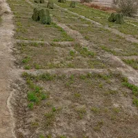 پرس یونجه ۲۲۰۰۰