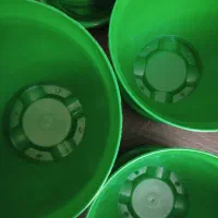 گلدان های سبز|گل و گیاه طبیعی|تهران, مهرآباد جنوبی|دیوار